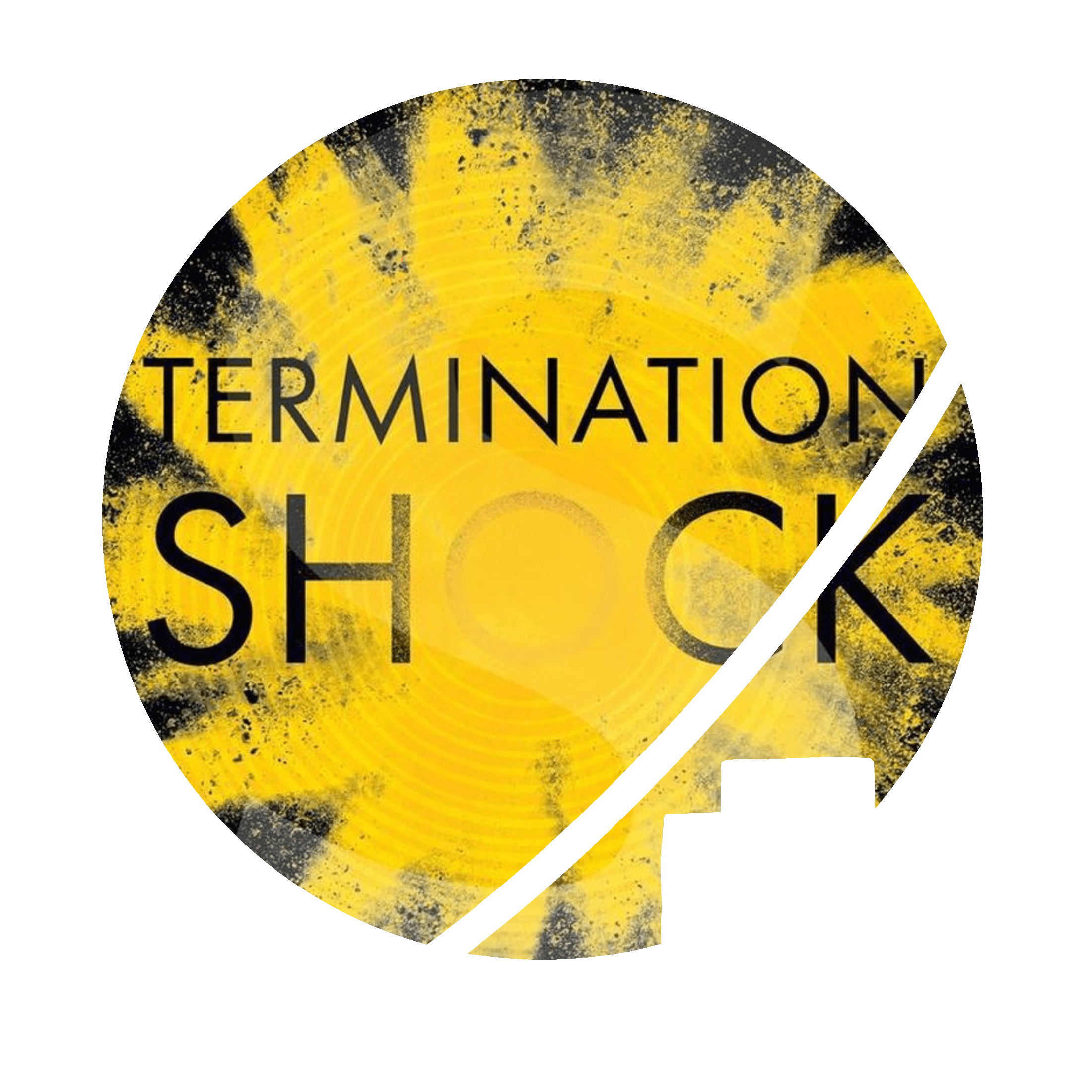 review-termination-shock-neal-stephenson-escape-velocity